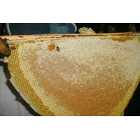 Honey comb